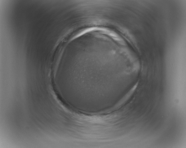 X0000068840010200605191937