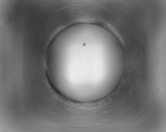 X0000068840011200605191937