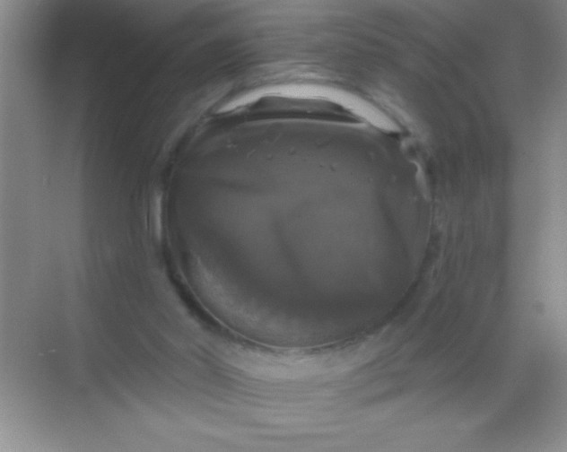 X0000068840014200605191937