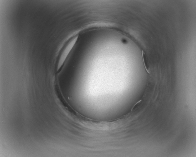 X0000068840015200605191937