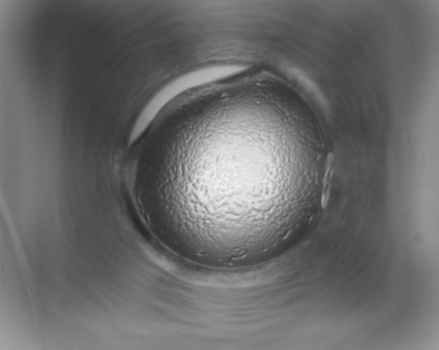 X0000068840017200605191937