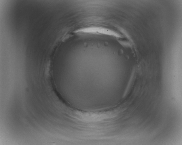 X0000068840018200605191937