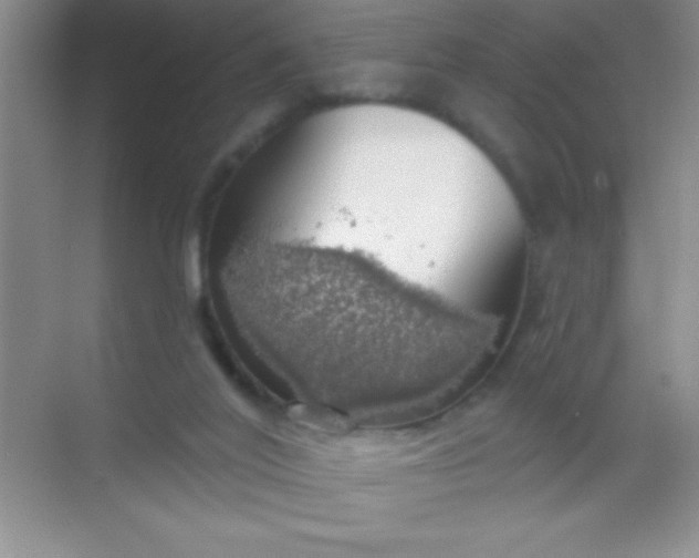 X0000068840020200605191937