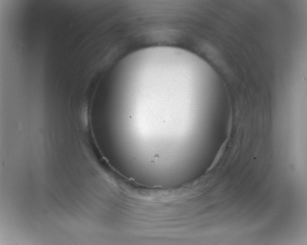 X0000068840021200605191937