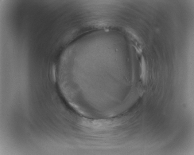 X0000068840022200605191937