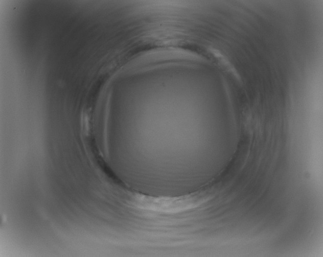 X0000068840026200605191937