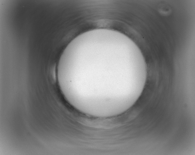 X0000068840028200605191937