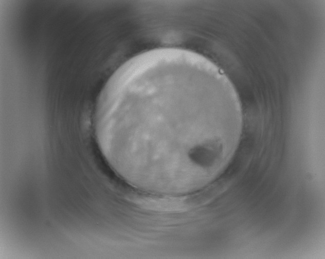 X0000068840032200605191937