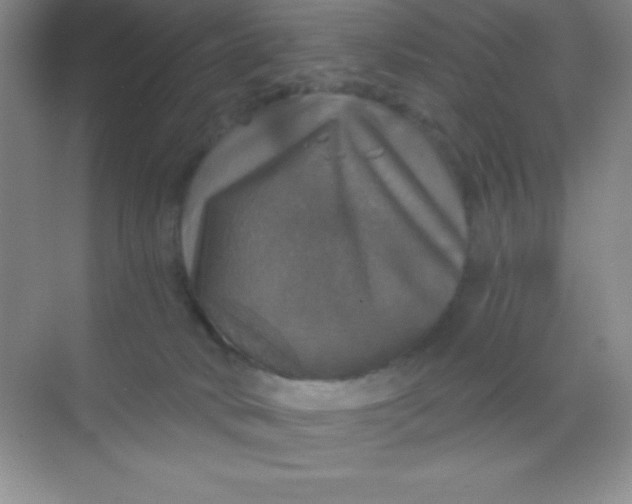 X0000068840034200605191937