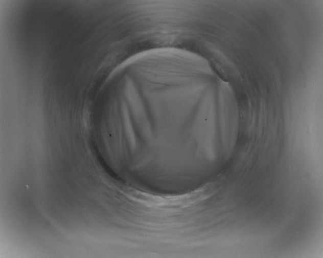 X0000068840035200605191937