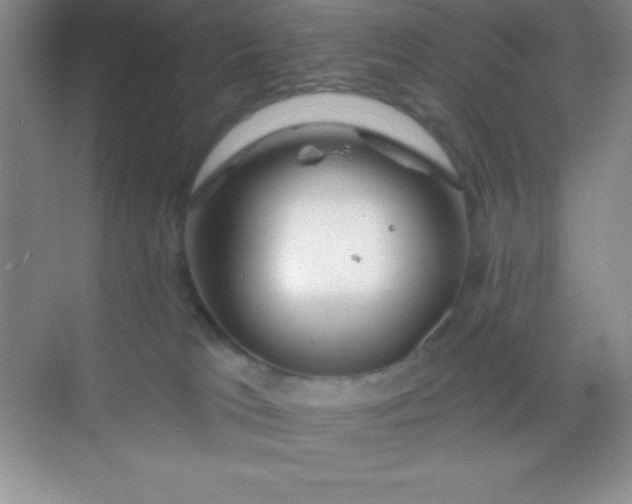 X0000068840037200605191937