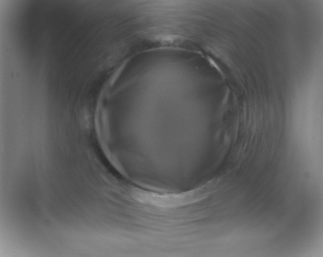 X0000068840039200605191937