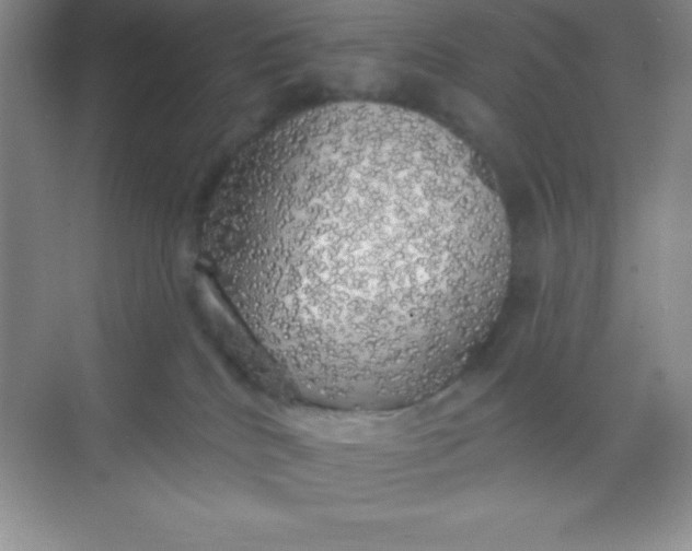 X0000068840040200605191937