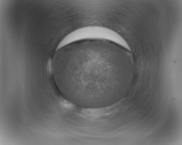 X0000068840041200605191937