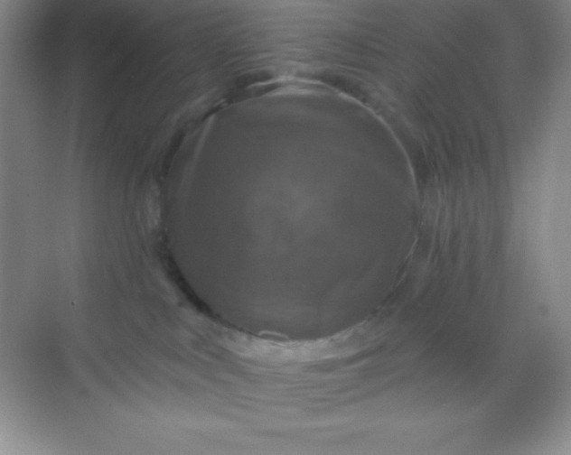 X0000068840043200605191937