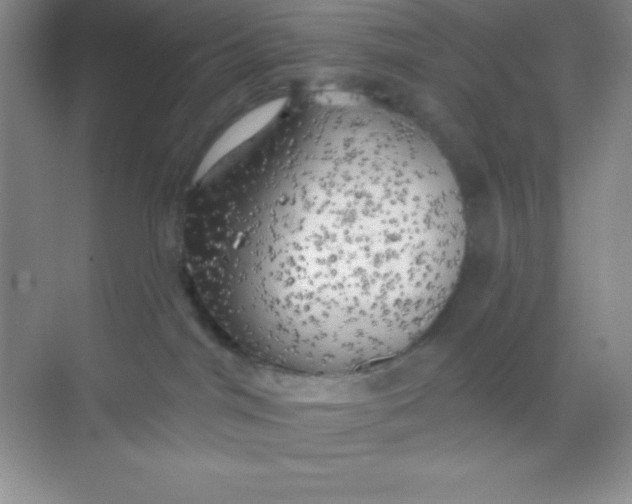 X0000068840044200605191937