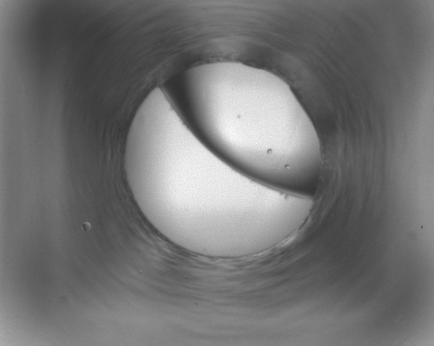 X0000068840045200605191937