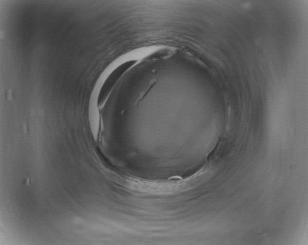 X0000068840048200605191937