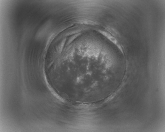 X0000068840049200605191936