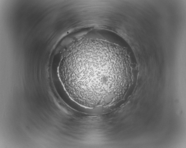 X0000068840050200605191936