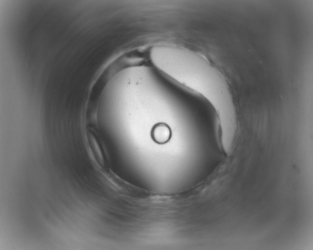 X0000068840052200605191936