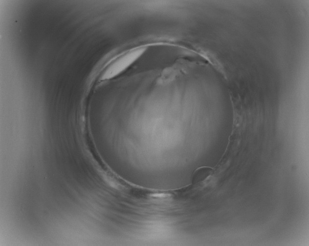 X0000068840053200605191936