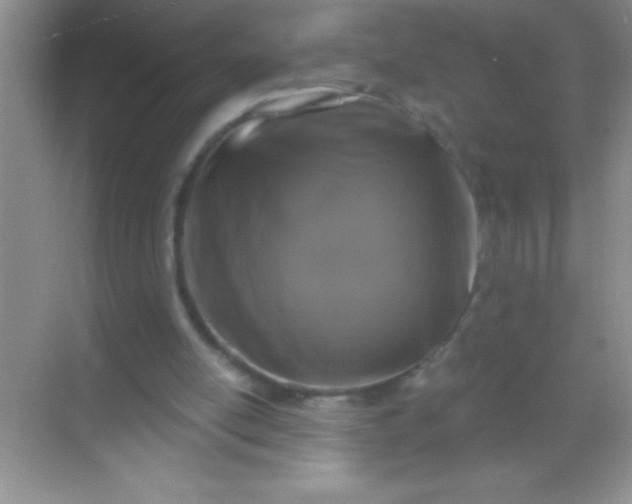 X0000068840054200605191936