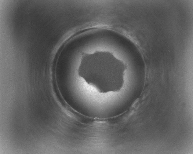 X0000068840055200605191936