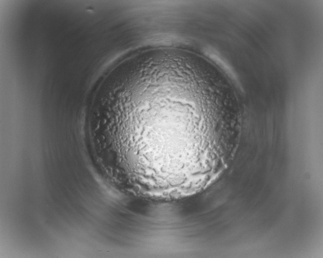 X0000068840058200605191936