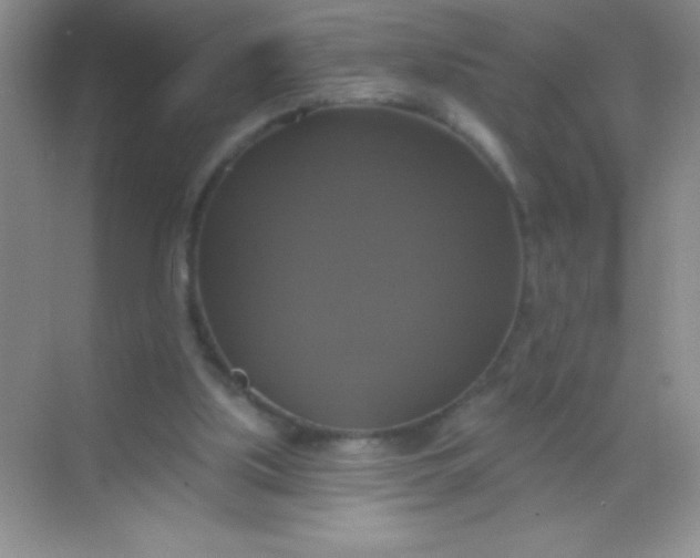 X0000068840059200605191936