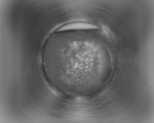 X0000068840060200605191936