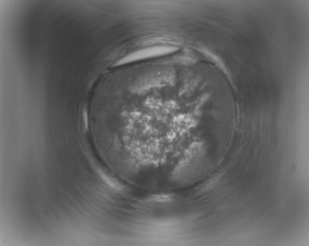 X0000068840061200605191936