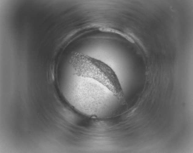 X0000068840062200605191936