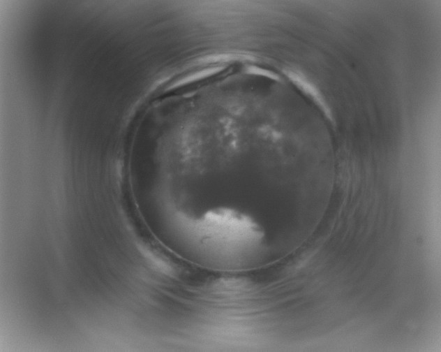 X0000068840063200605191936