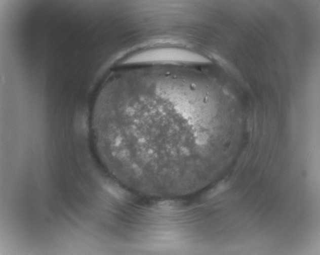 X0000068840064200605191936