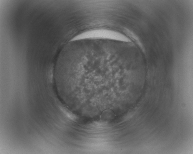 X0000068840065200605191936