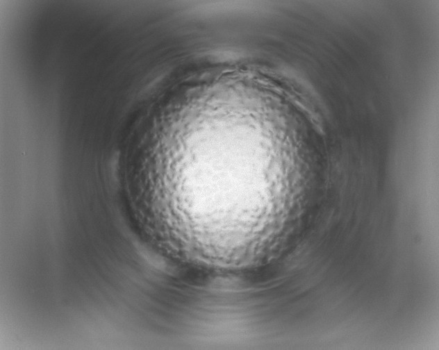 X0000068840066200605191936