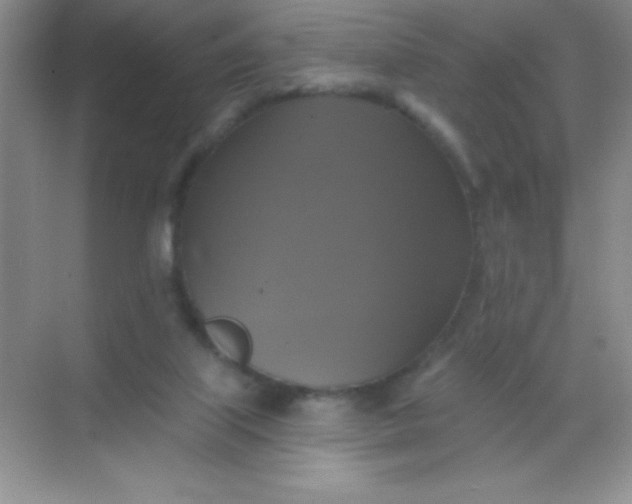 X0000068840067200605191936