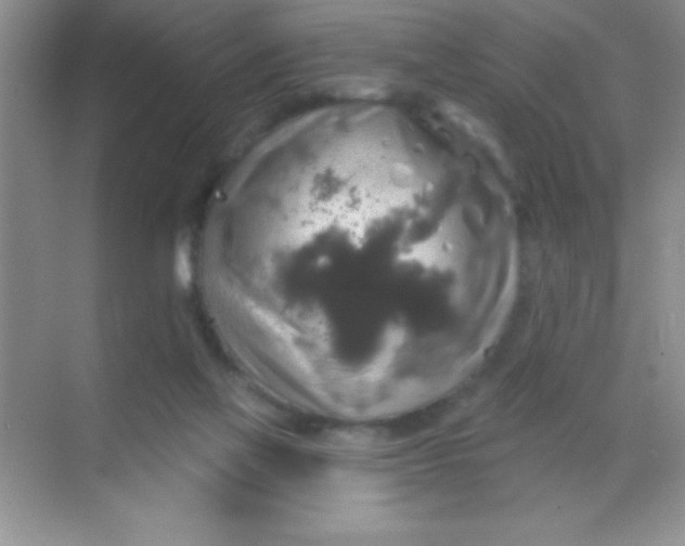 X0000068840069200605191936