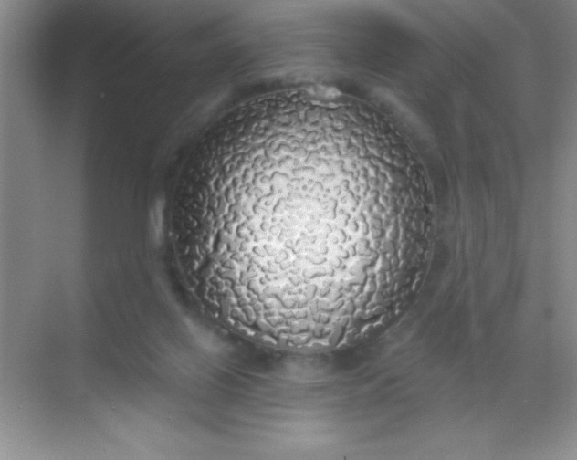 X0000068840070200605191936