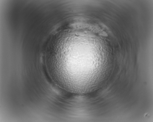 X0000068840071200605191936