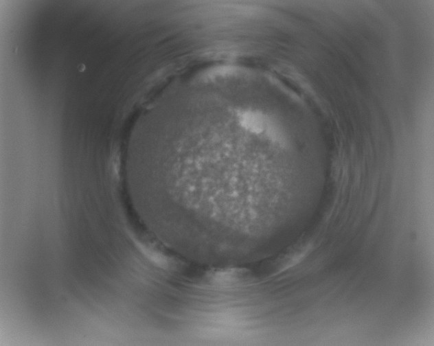 X0000068840072200605191936