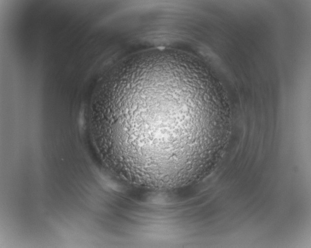 X0000068840074200605191936