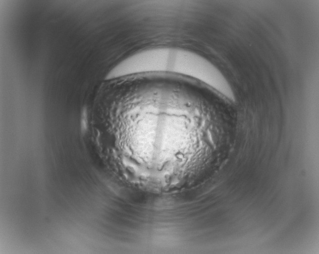 X0000068840075200605191936