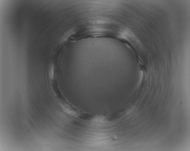 X0000068840076200605191936