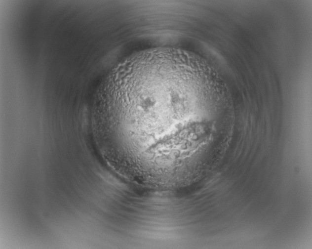 X0000068840077200605191936