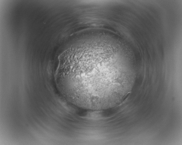 X0000068840078200605191936