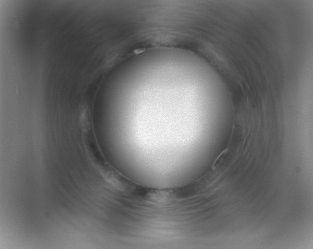 X0000068840079200605191936