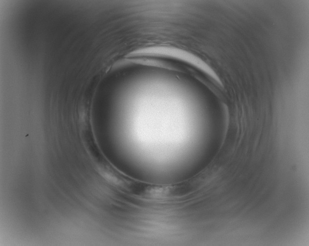 X0000068840084200605191936