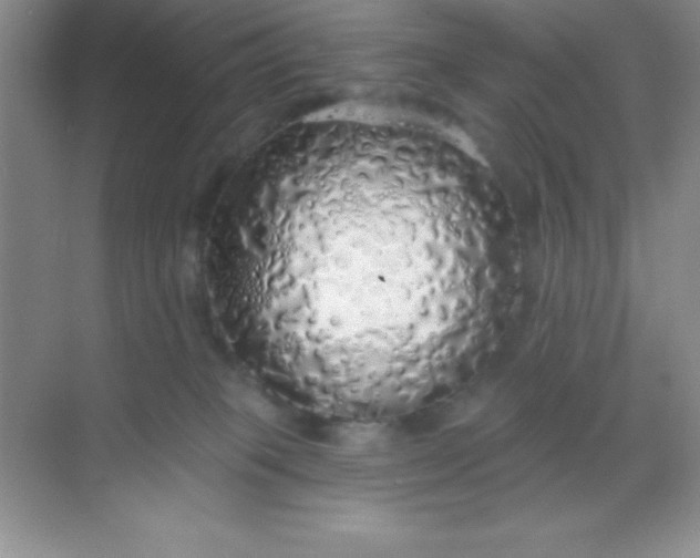 X0000068840085200605191936